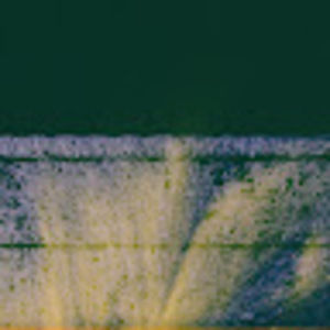 Meet your Posher, Sofi